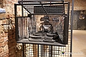 VBS_8145 - Museo Eugenio Guglielminetti - Scultura e Scenografia